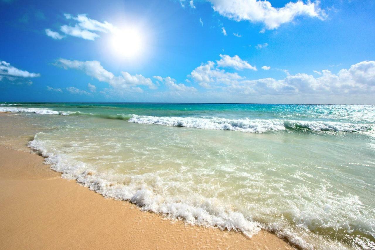 Beau Studio A 1 Minute De La Plage Кане-ан-Руссійон Екстер'єр фото