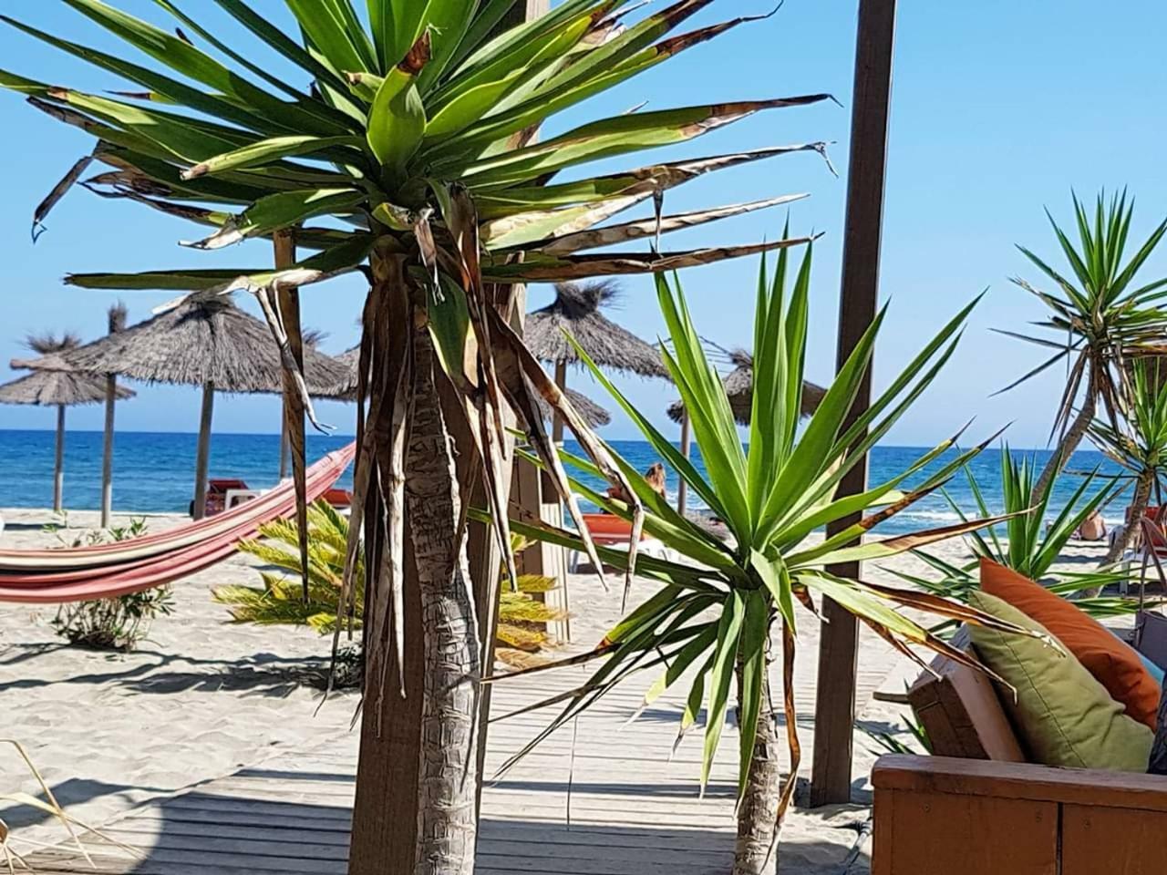 Beau Studio A 1 Minute De La Plage Кане-ан-Руссійон Екстер'єр фото